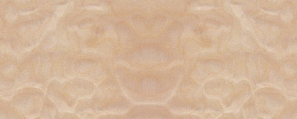 Quilted Maple
